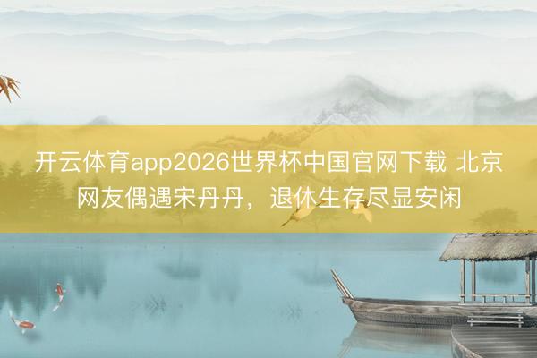 开云体育app2026世界杯中国官网下载 北京网友偶遇宋丹丹，退休生存尽显安闲