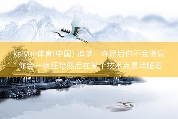 kaiyun体育(中国) 追梦：夺冠后你不会寝息 你会一夜狂怡然后在某个技术点累垮睡着