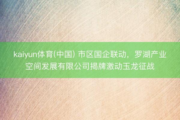 kaiyun体育(中国) 市区国企联动，罗湖产业空间发展有限公司揭牌激动玉龙征战