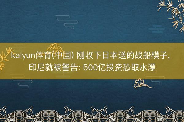 kaiyun体育(中国) 刚收下日本送的战船模子， 印尼就被警告: 500亿投资恐取水漂